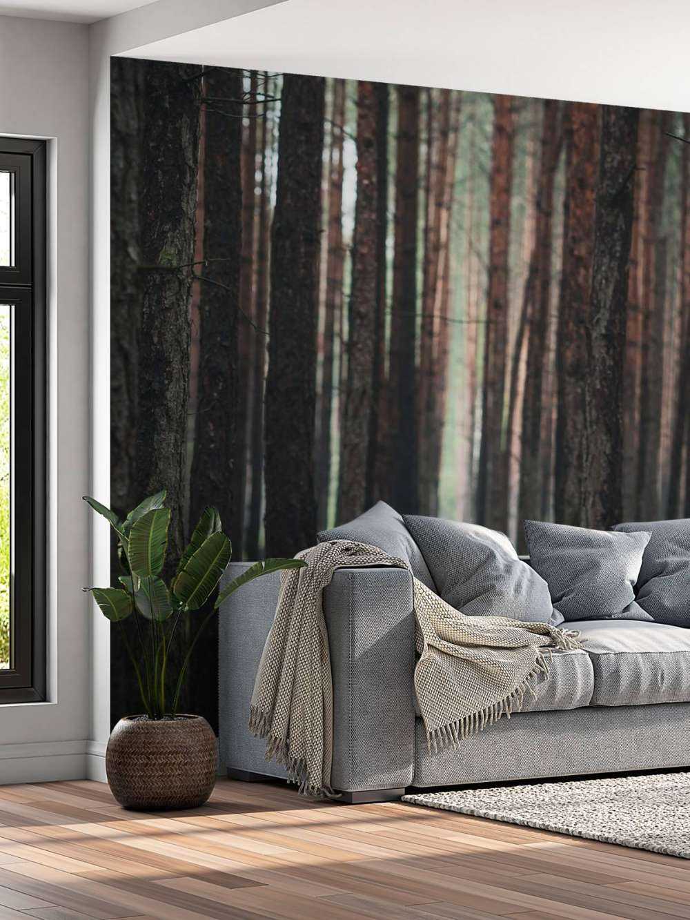 Wild en Mysterie tussen de Bomen