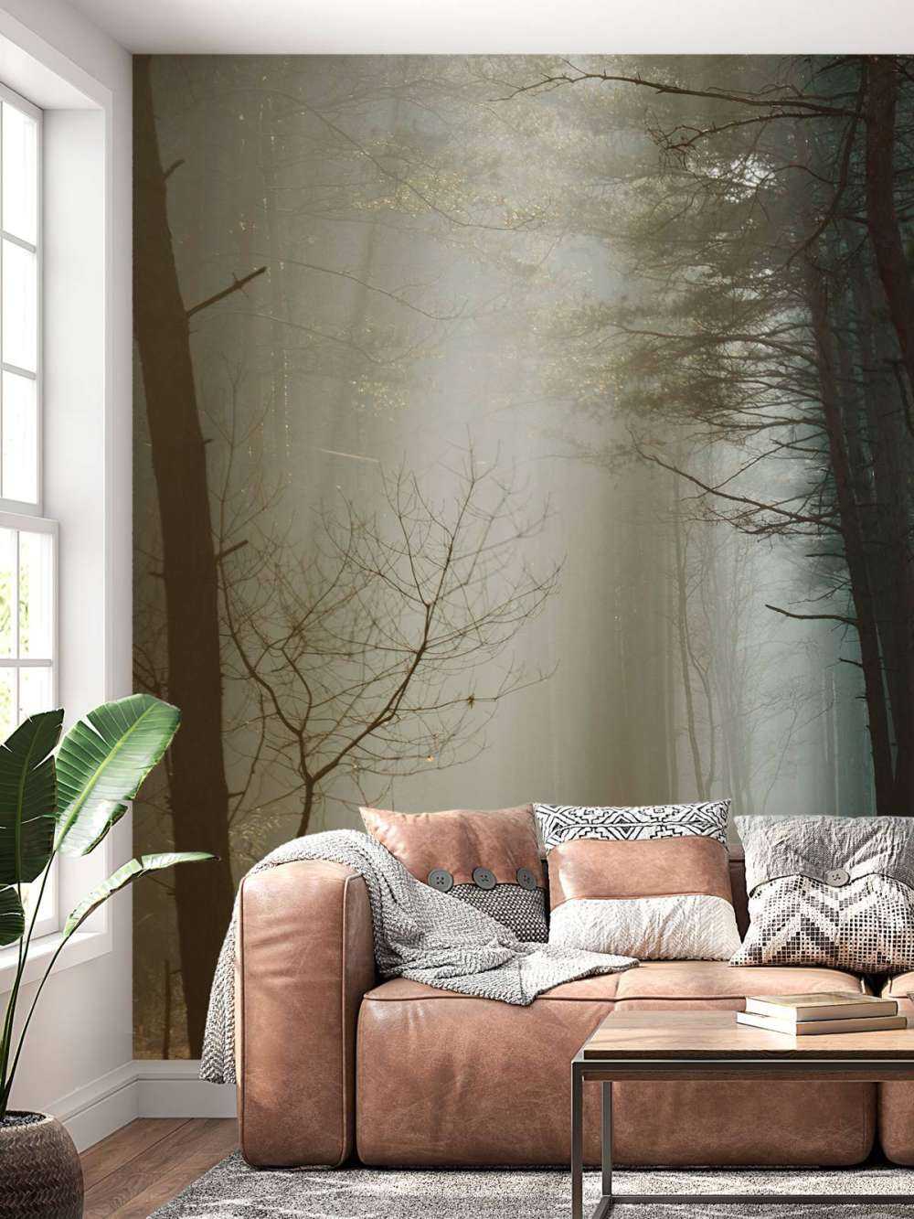 Zonnestralen in een Herfstig Bos