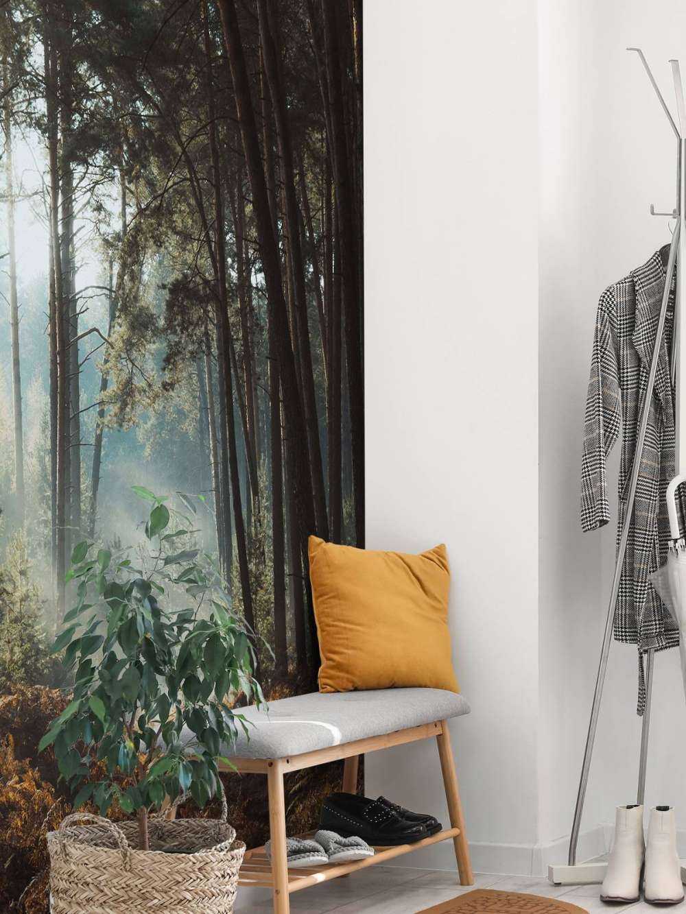 Overgang van de Seizoenen