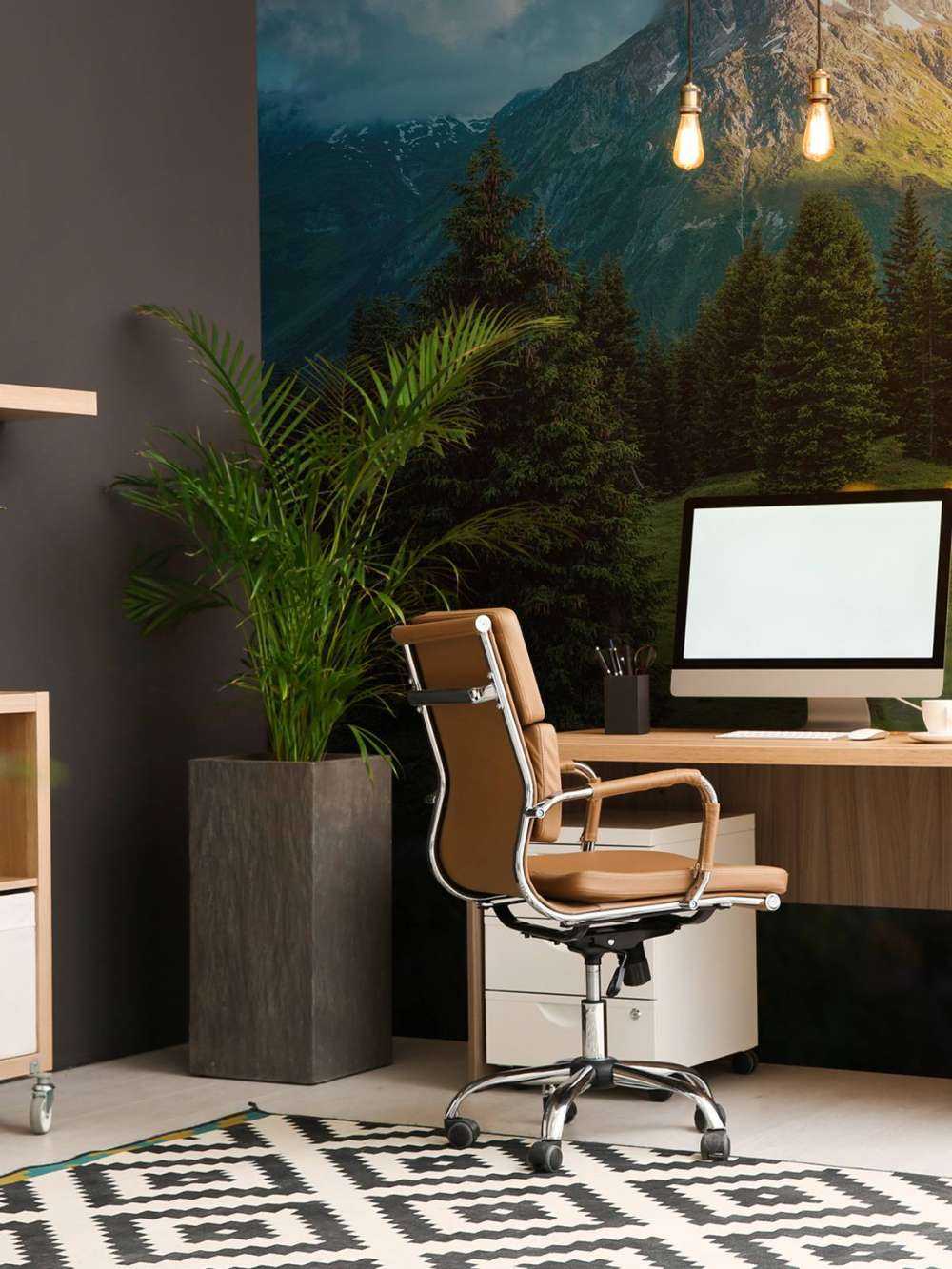 Bergweide in ochtendnevel