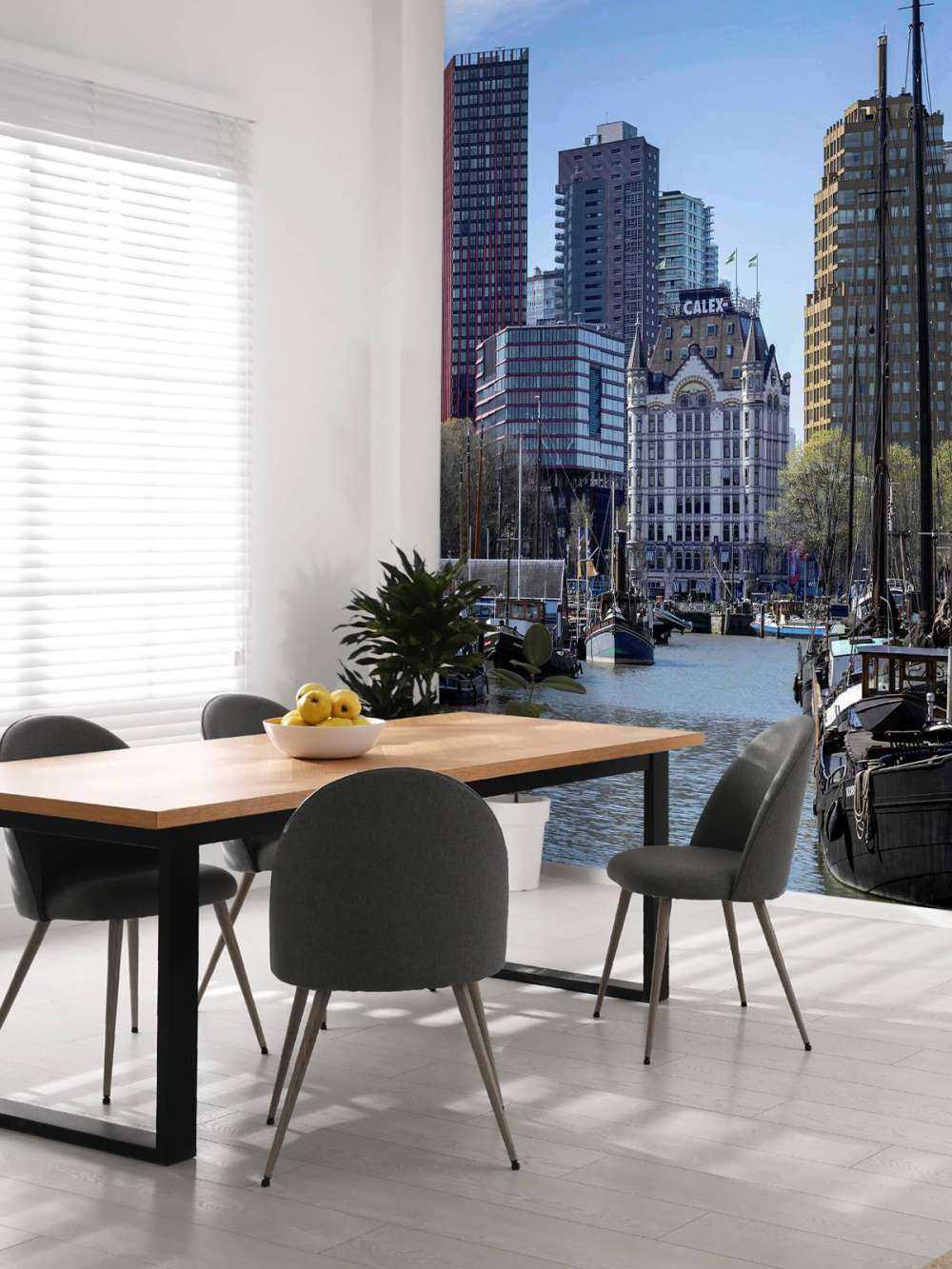 Witte Huis en Oude Haven