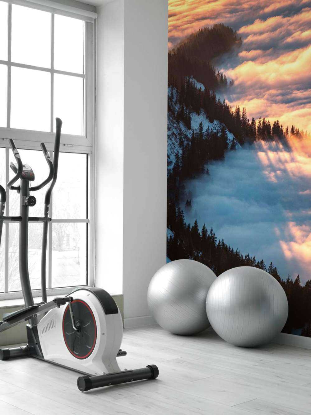 Ochtendgloed over nevelig bergbos