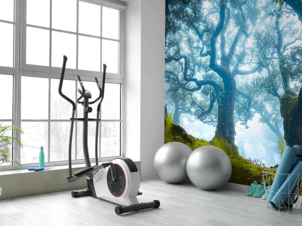 Sprookjesbos in ochtendmist