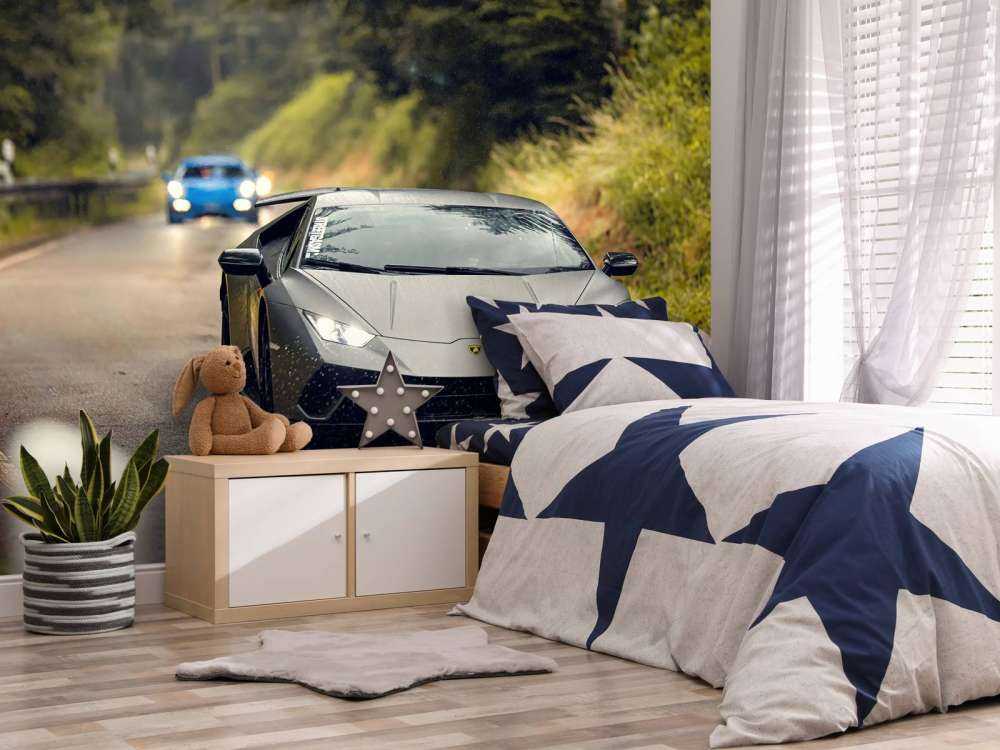 Matgrijze Lamborghini in de natuur