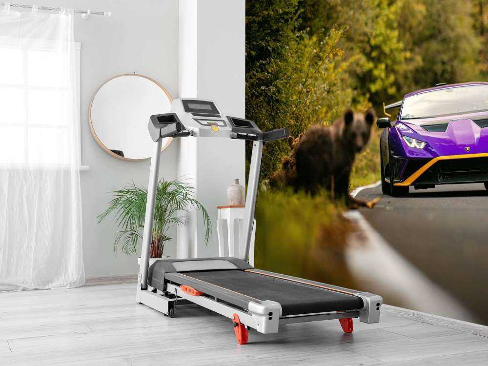 Lamborghini vs. wildernis