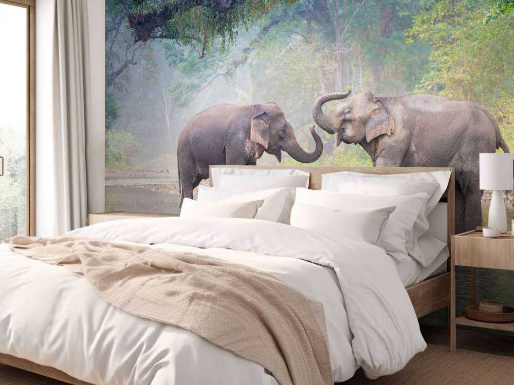 Aziatische olifanten in een rivier