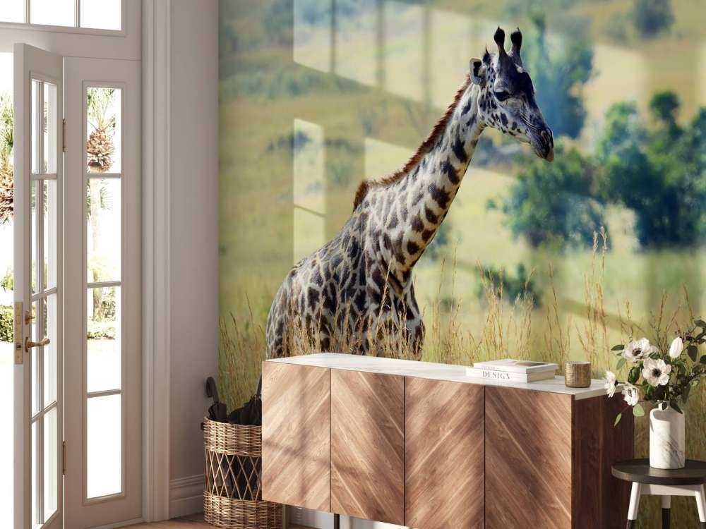 Lichte Giraffe in de natuur