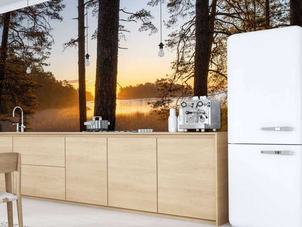 Bos tijdens zonsondergang