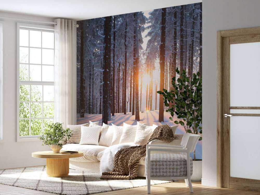 Zonsondergang in een winterbos