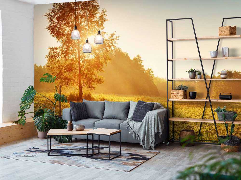 Weiland bij zonsopkomst