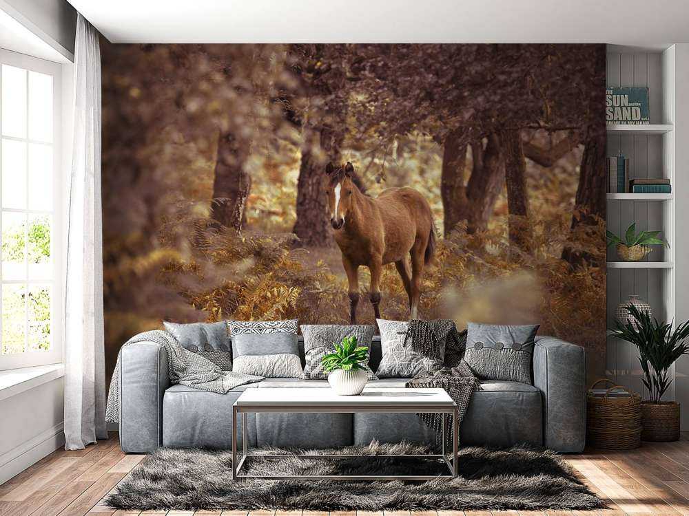 Paard in de wildernis