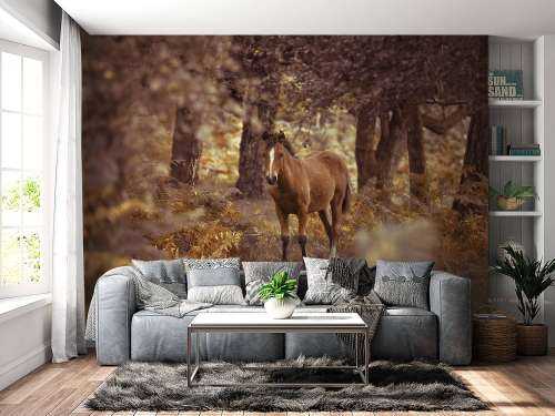 Paard in de wildernis