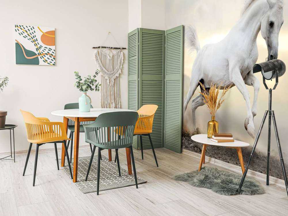 Arabische Hengst in het stof