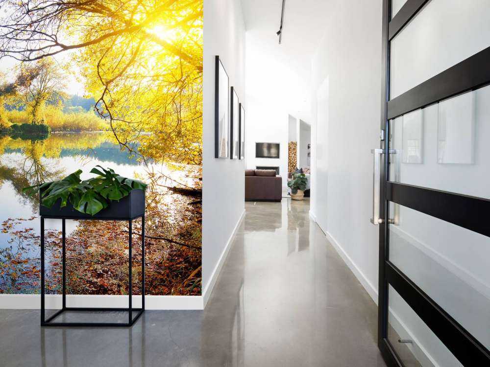 Witte Zwaan op Rivier met herfst