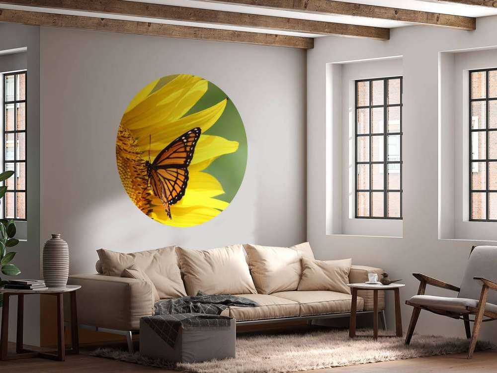 Oranje Vlinder op Zonnebloem