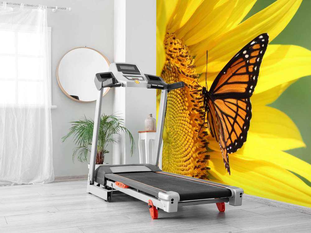 Oranje Vlinder op Zonnebloem