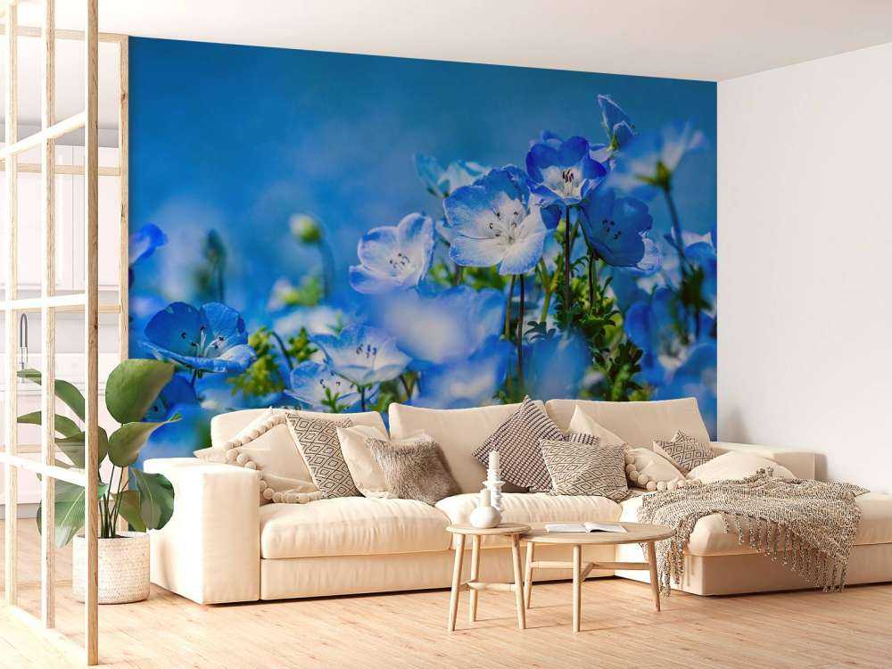 Blauw witte Bosliefjes