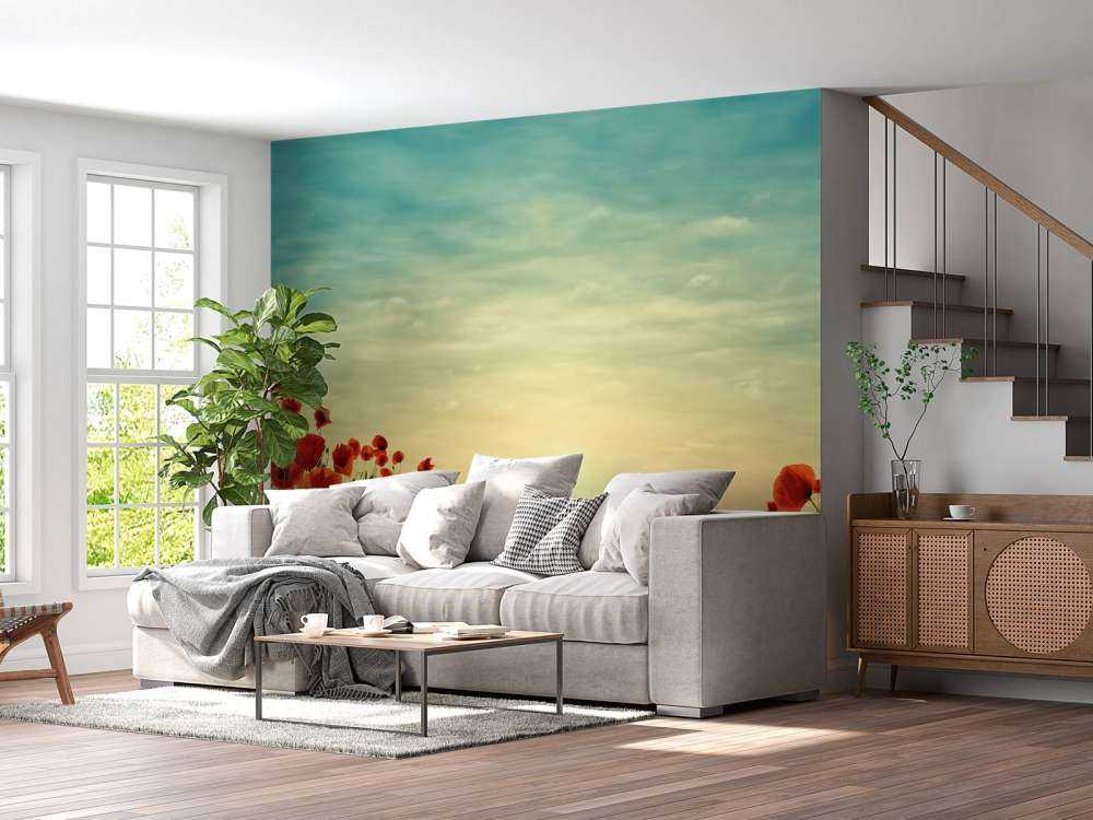 Klaprozen met zonsondergang