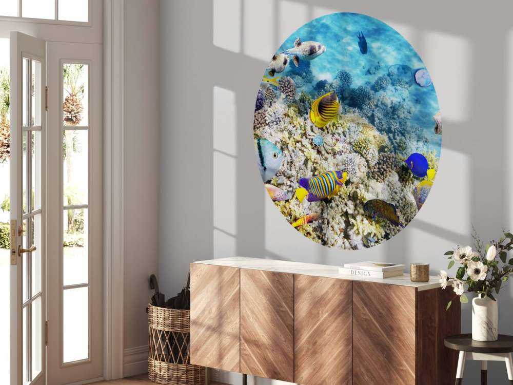 Exotische vissen en koralen