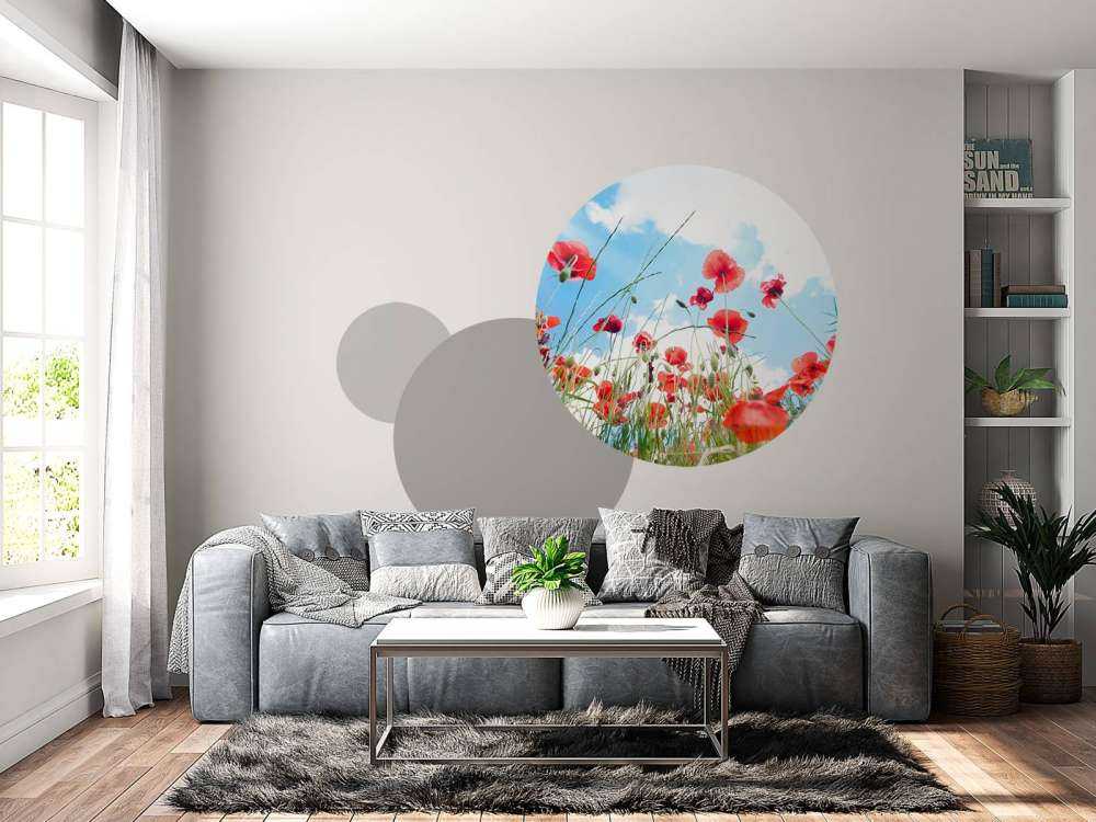 Klaprozen in het voorjaar