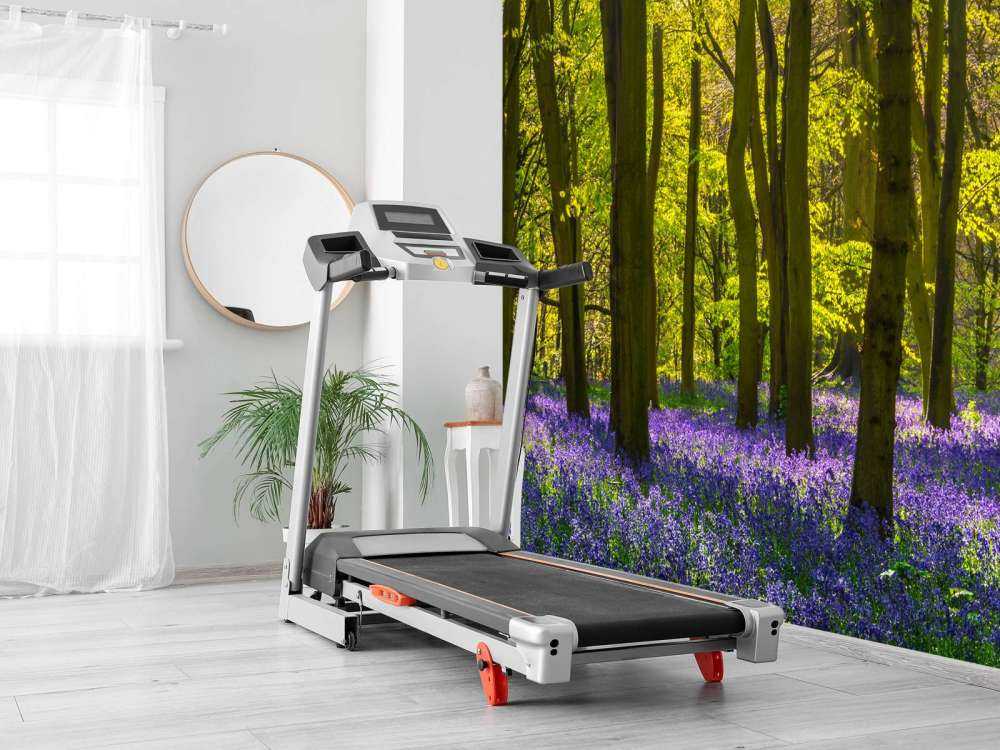 Bos met veel lavendel