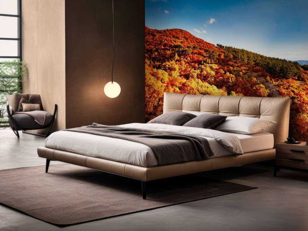 Landschap met gekleurde bomen