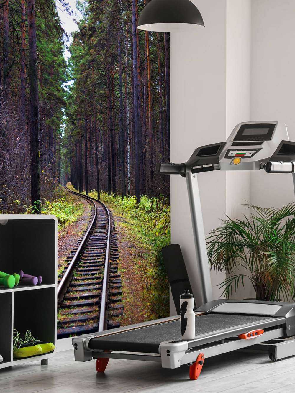 Spoorlijn door een bos