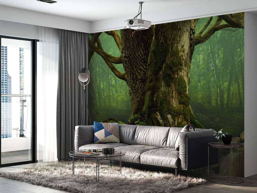 Oude Boom met Rotsen
