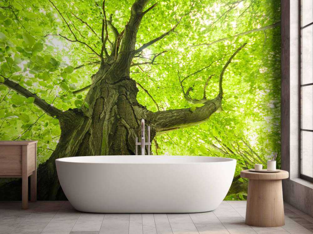 Oude Groene Boom tijdens Zonnige Dag