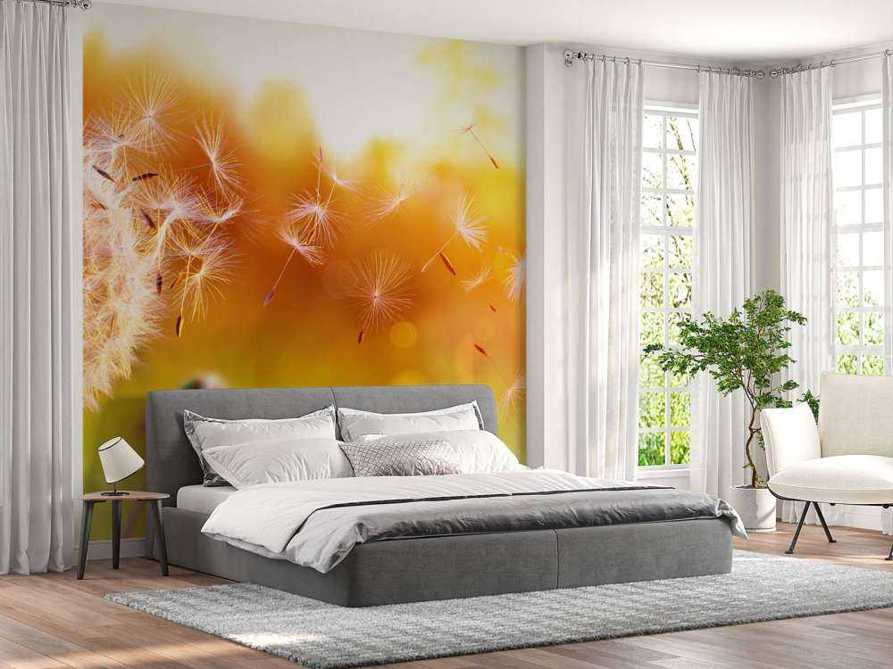 Paardebloemen onder rood licht