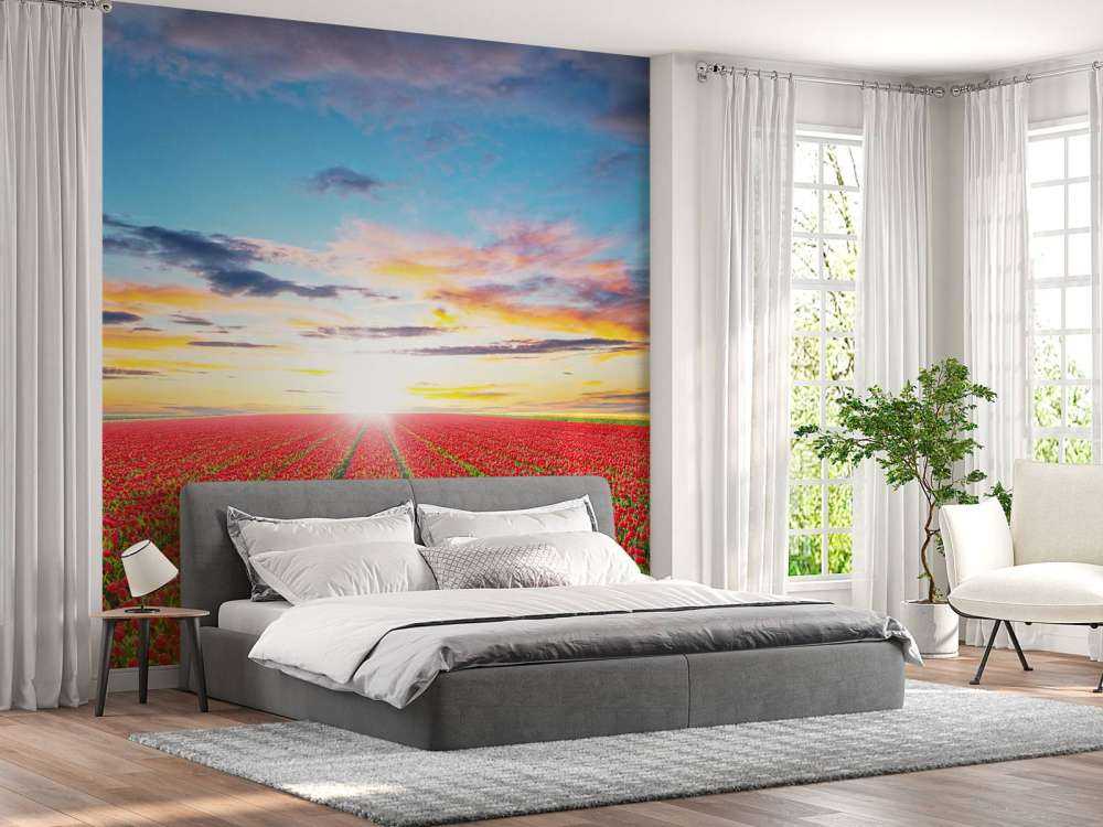 Rode tulpenveld bij zonsopkomst