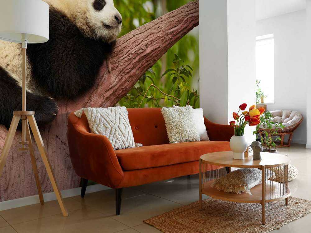 Slapende panda in een boom