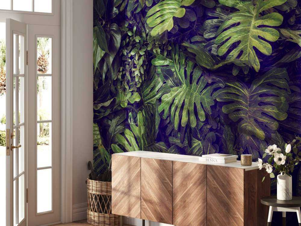 Groene Monstera Bladeren