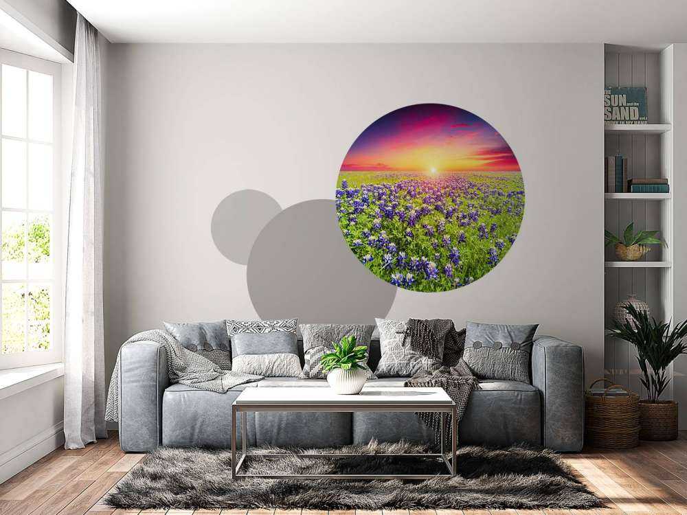 Bluebonnets met mooie Zonsondergang