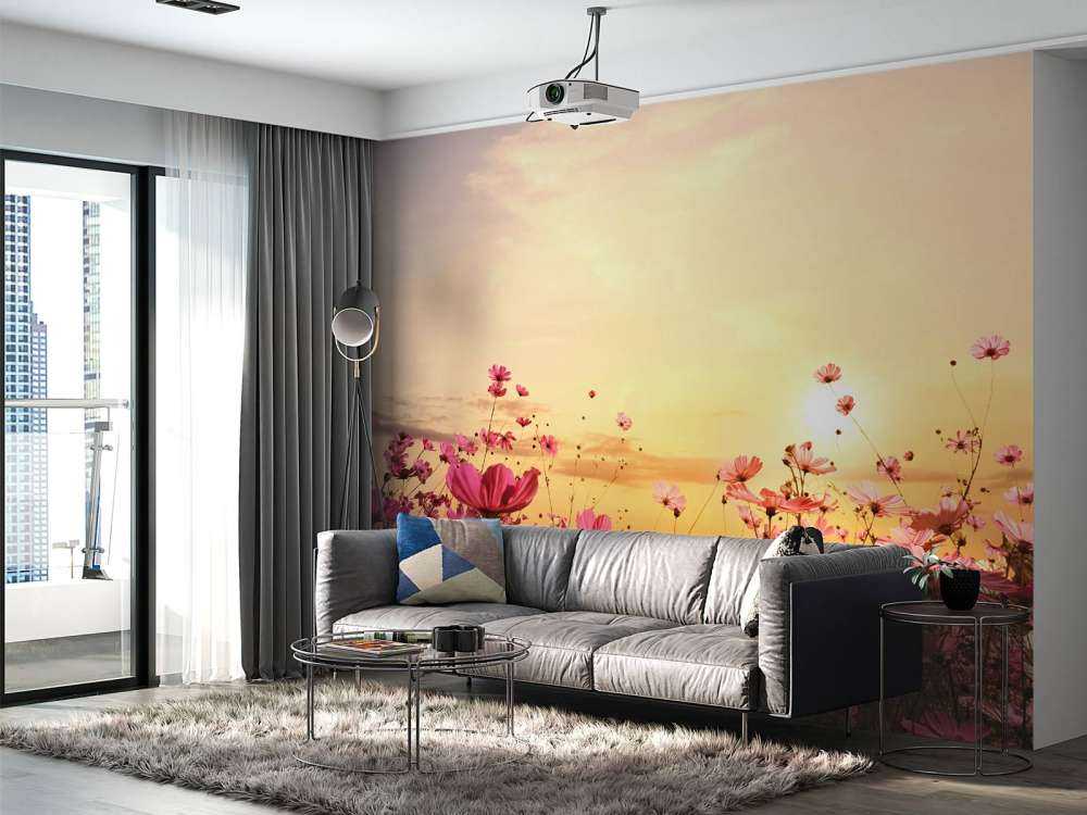 Kosmos Bloem tijdens Zonsondergang