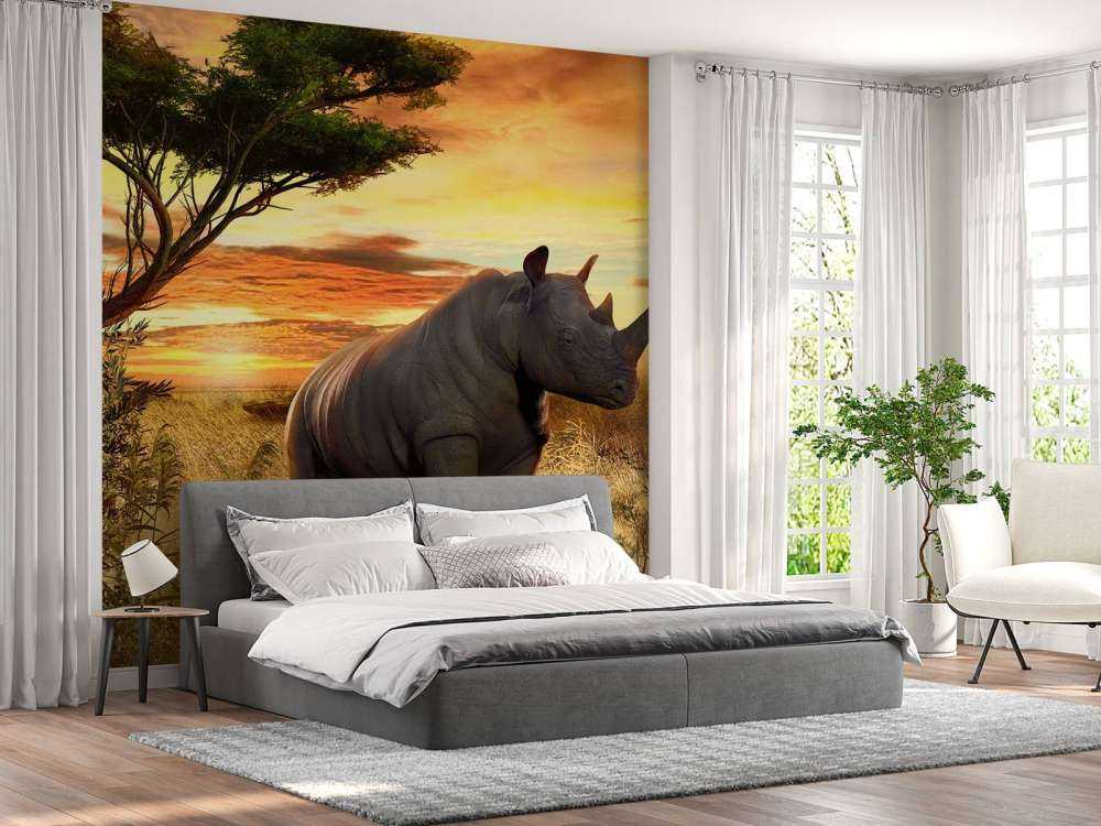 Neushoorn bij zonsondergang