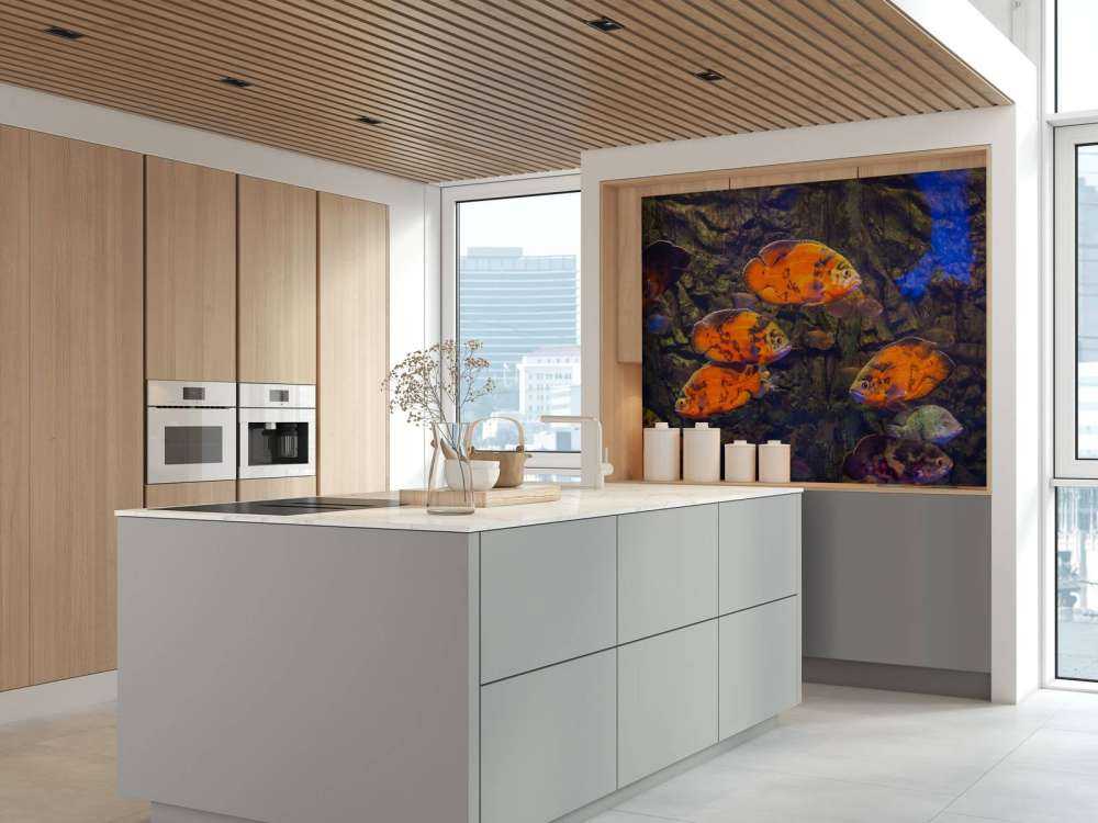 Tropische vissen en algen