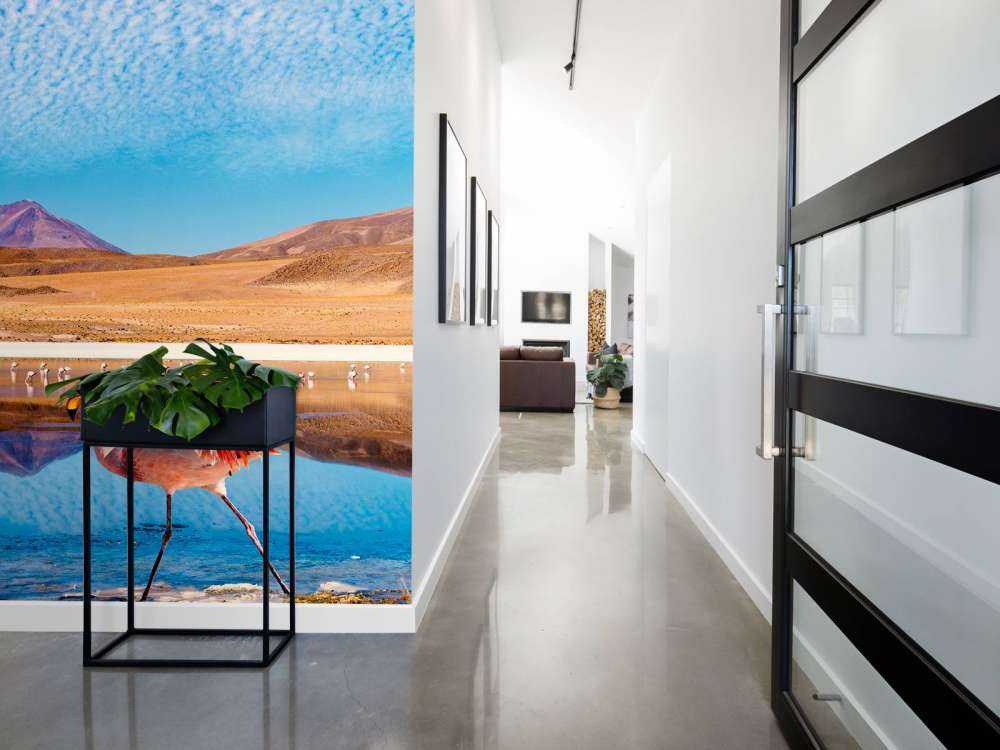 Flamingo's bij een meer