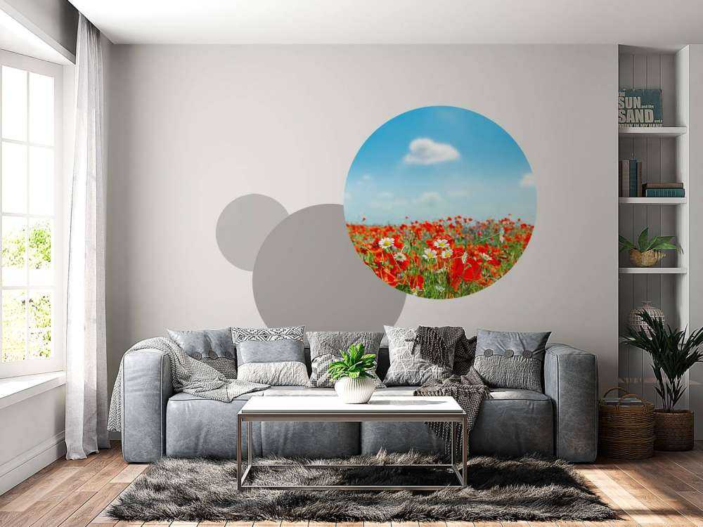 Klaprozen en Madeliefjes