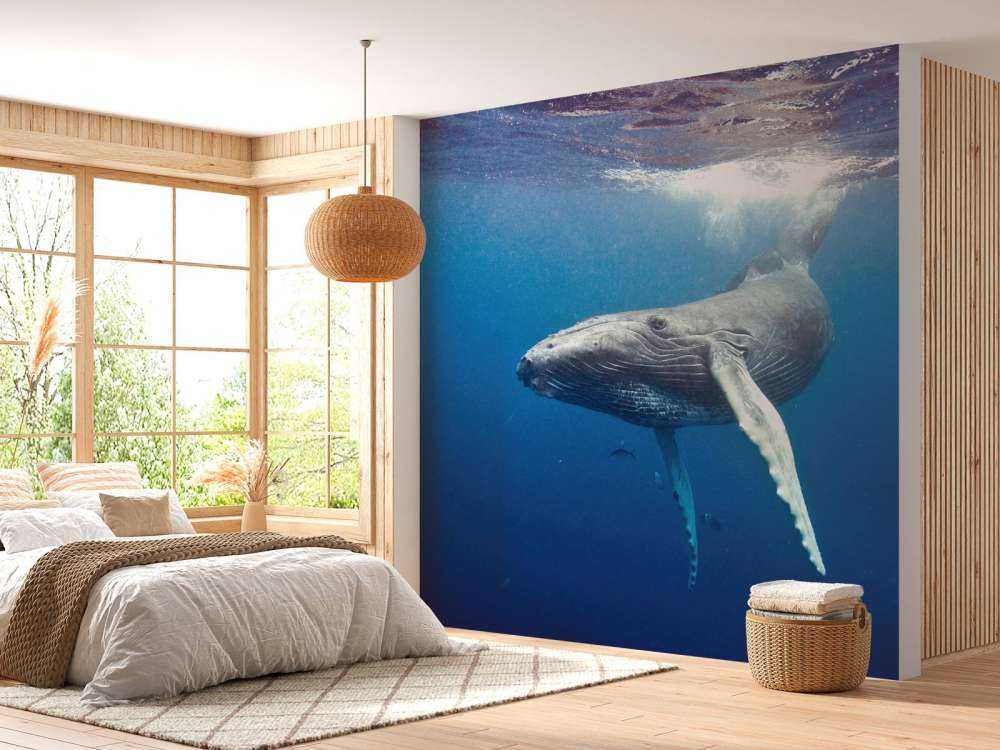 Bultrug walvis