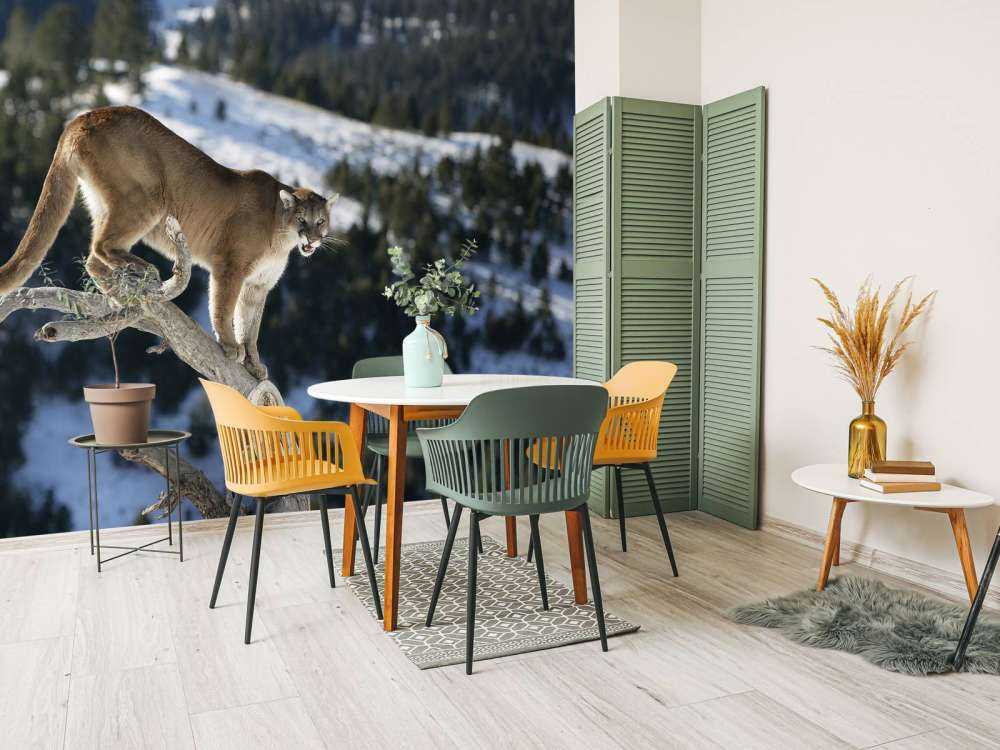 Bergleeuw op een dode boom