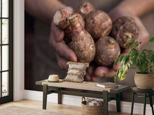 Aardproducten