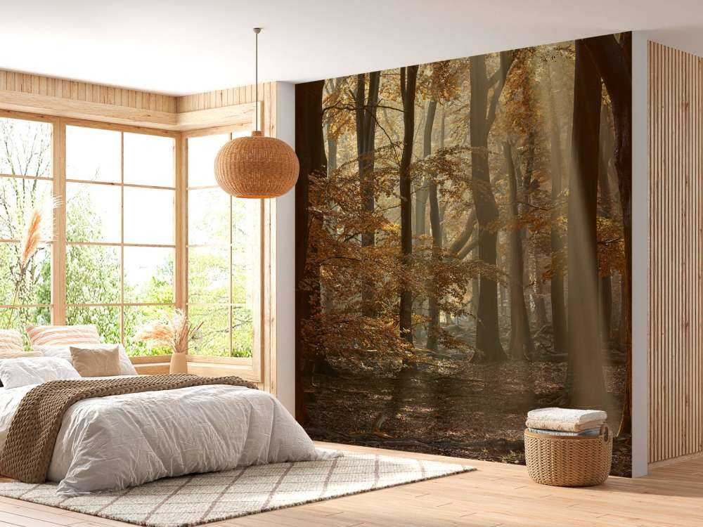 Herfstkleuren in het bos