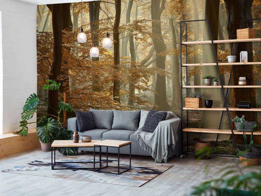 Herfstkleuren in het bos