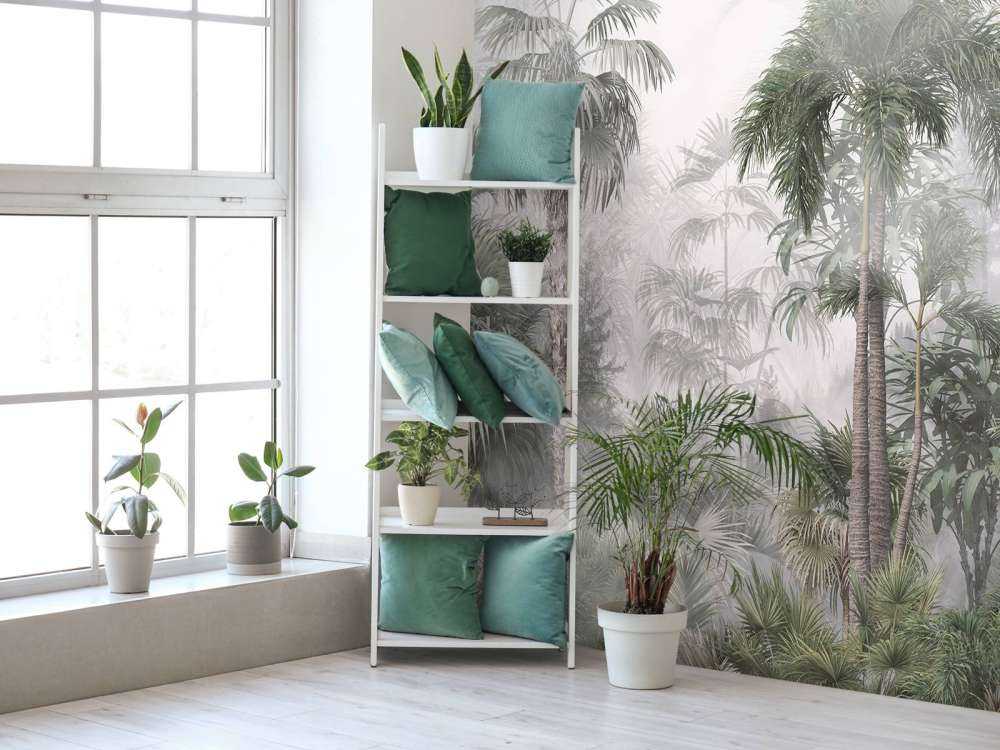 Morgenmist in de Tropen