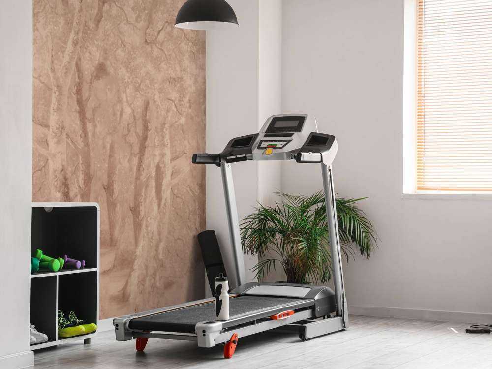 Forest Landscape Terra Panorama