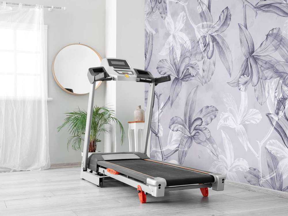 Orchid Dreamscape Purple