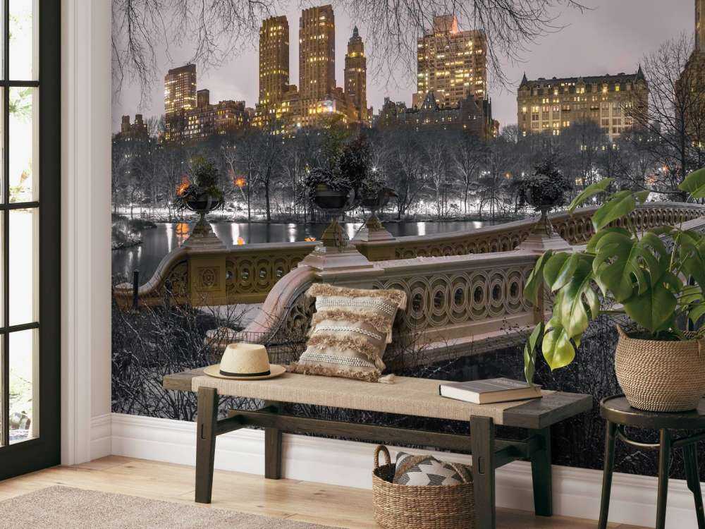 Central park en Manhattan