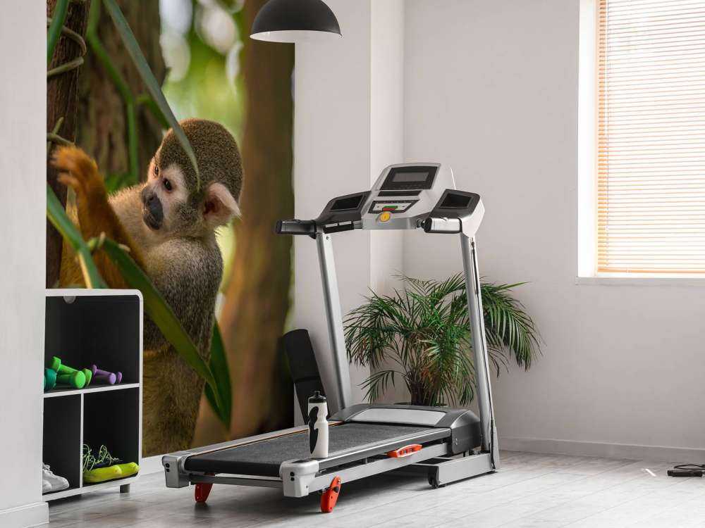 Kleine aap in de bomen