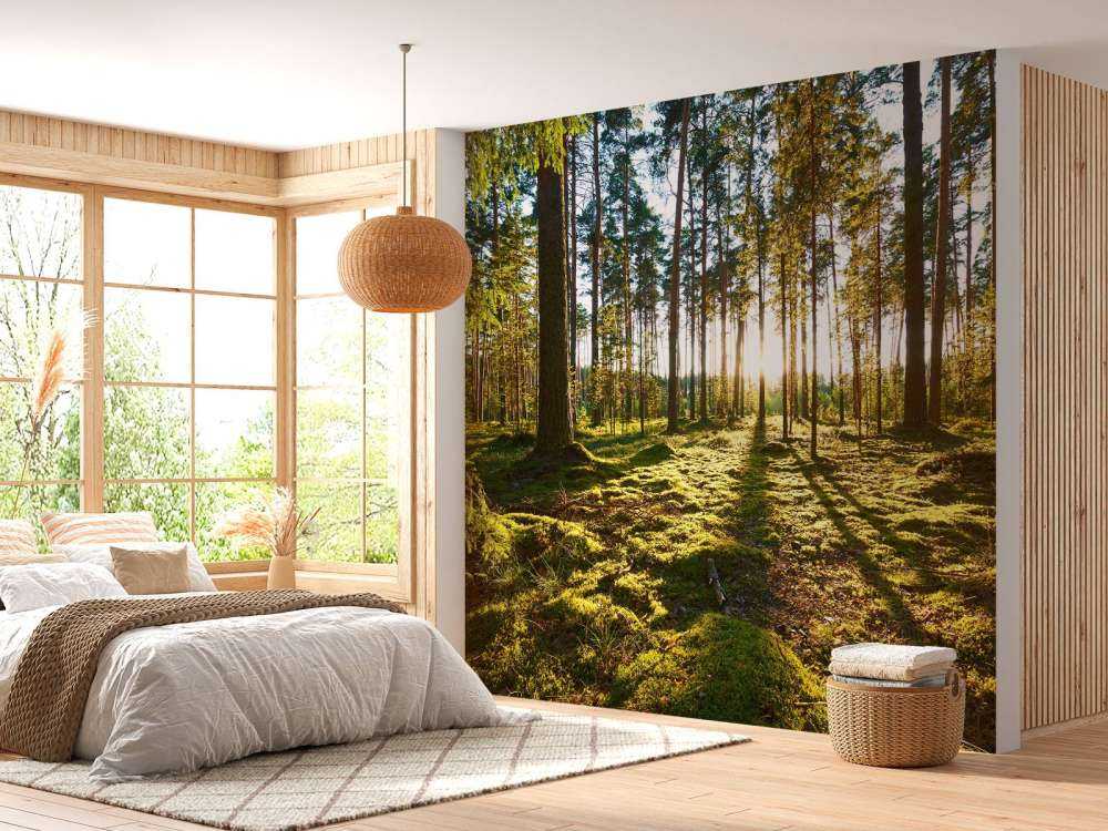 Dennenbos